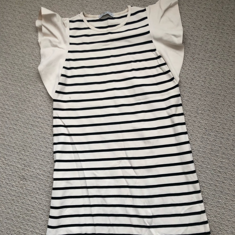 Zara dress